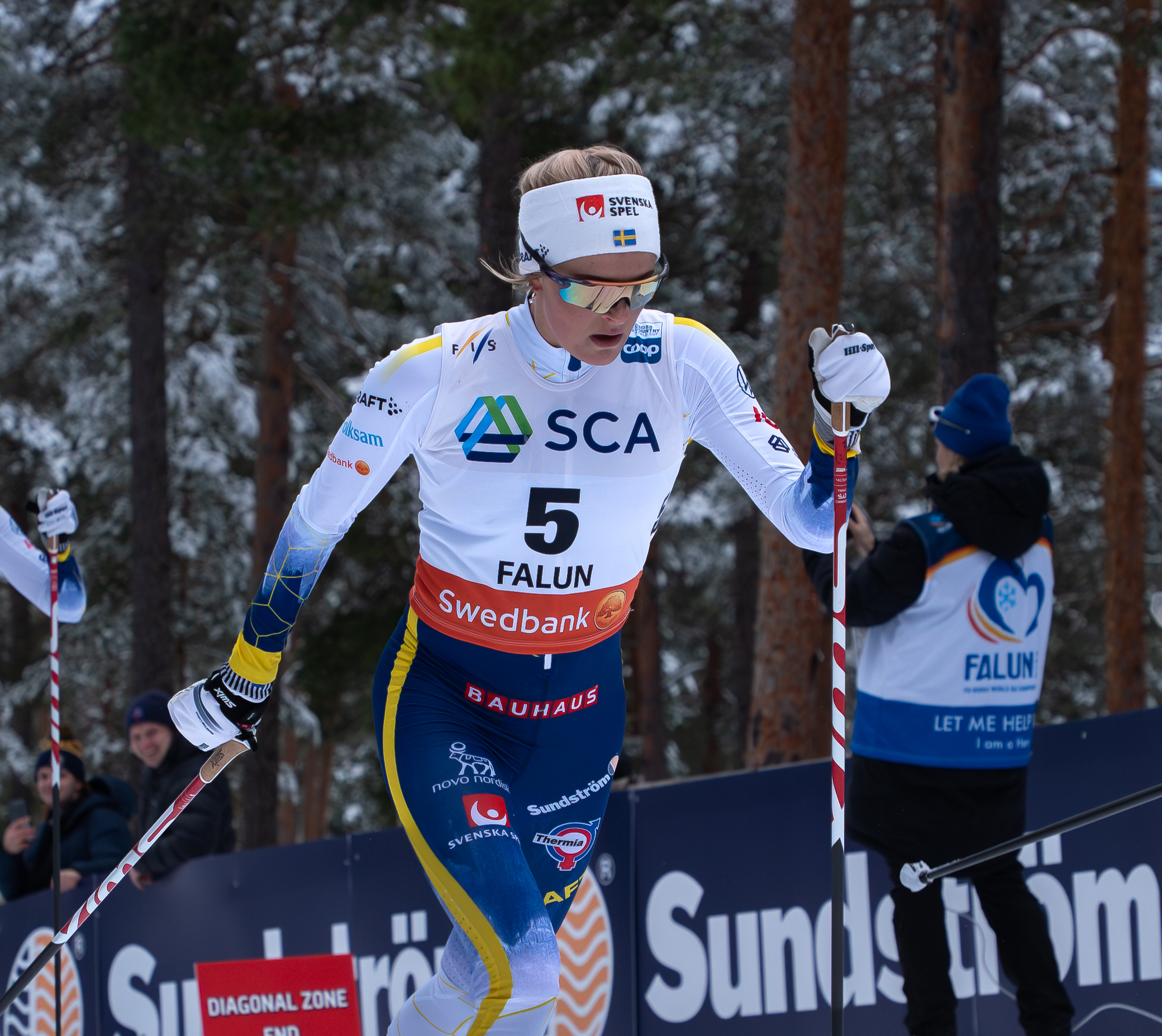 Längdskidor